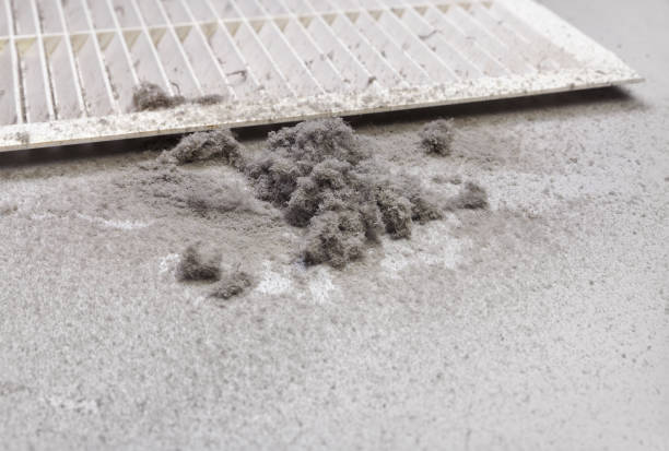 Best Emergency Air Duct Cleaning  in Bridgeport, OH