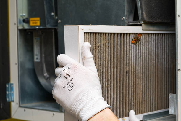 Best Emergency Air Duct Cleaning  in Bridgeport, OH